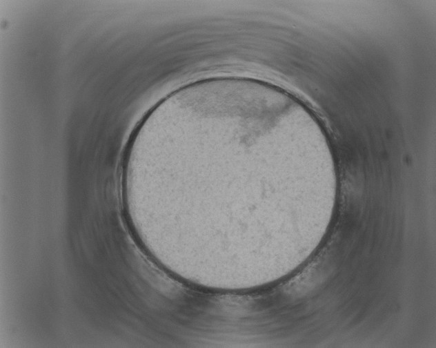 X0000066941514200603311404