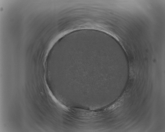 X0000066941515200603311404