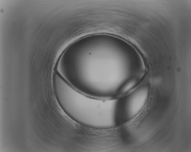 X0000066941516200603311404