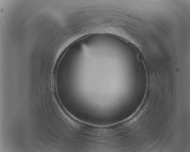 X0000066941517200603311404