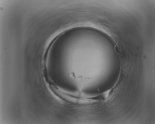 X0000066941519200603311404