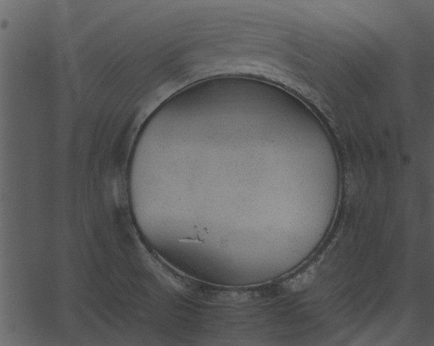 X0000066941521200603311404