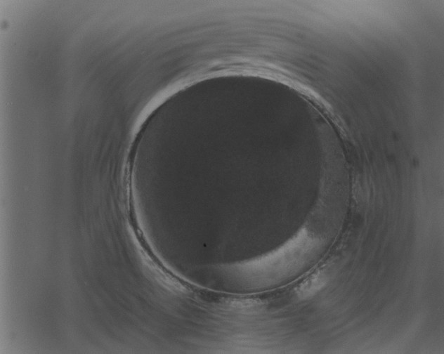 X0000066941522200603311404