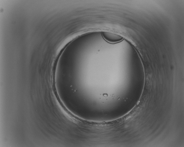 X0000066941523200603311404