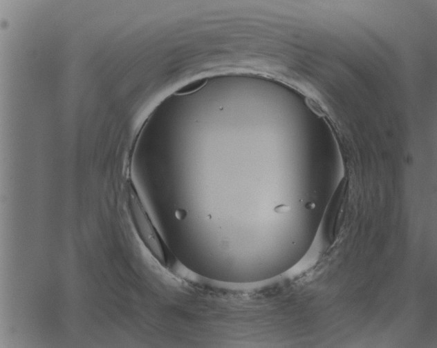 X0000066941524200603311404