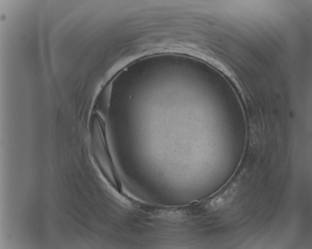 X0000066941525200603311404