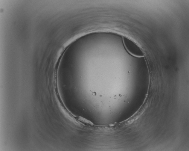 X0000066941526200603311404