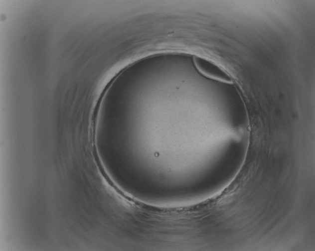 X0000066941527200603311404