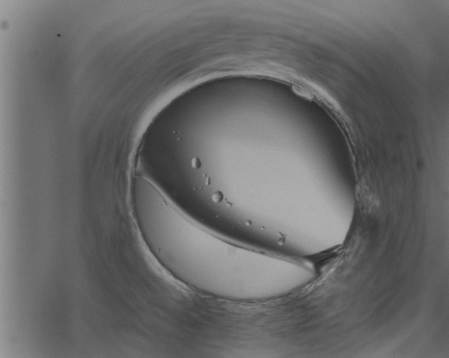 X0000066941528200603311404