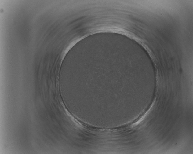 X0000066941529200603311404