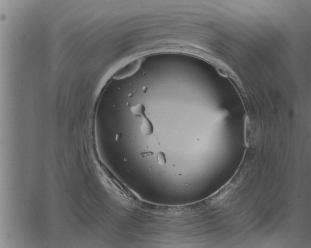 X0000066941530200603311404