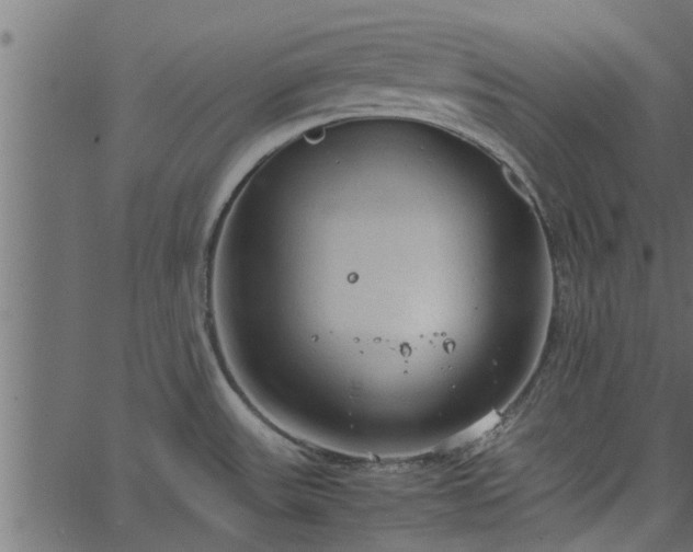 X0000066941531200603311404