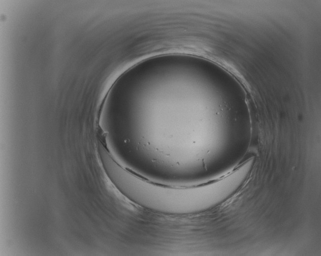 X0000066941532200603311404