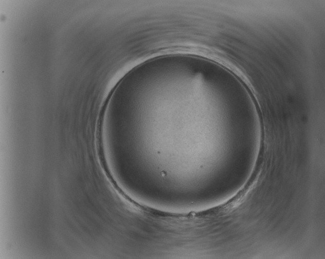 X0000066941533200603311404