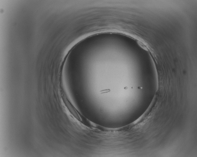 X0000066941534200603311404