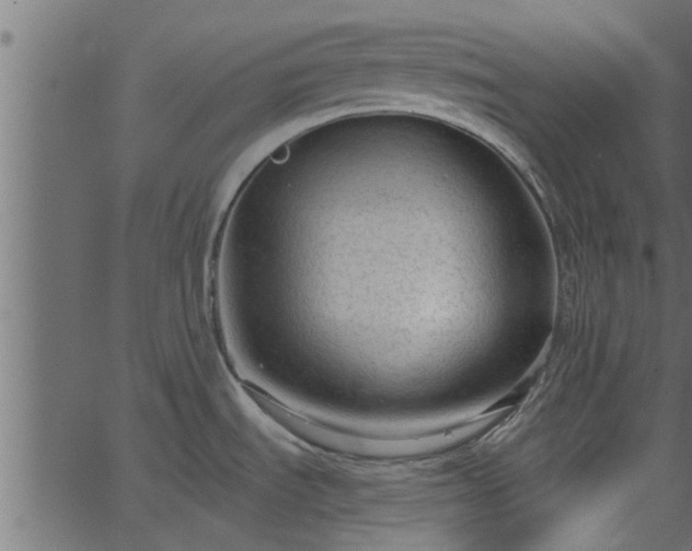 X0000066941535200603311404