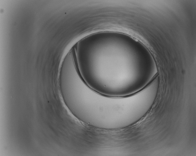 X0000066941536200603311404