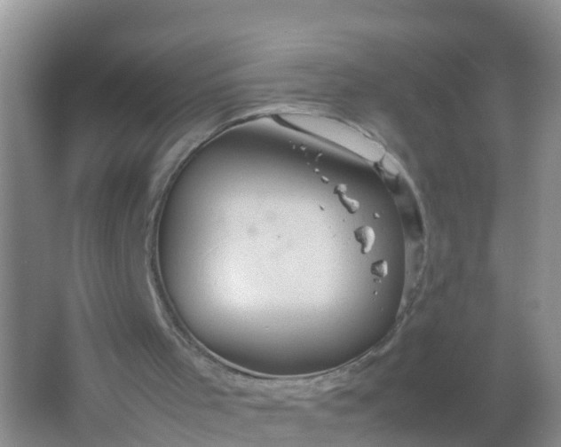 X0000066940001200604071924