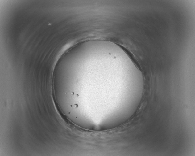 X0000066940003200604071924