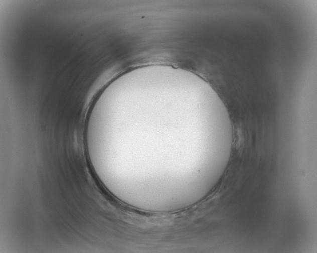 X0000066940004200604071924