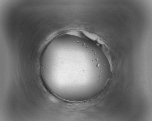 X0000066940005200604071924