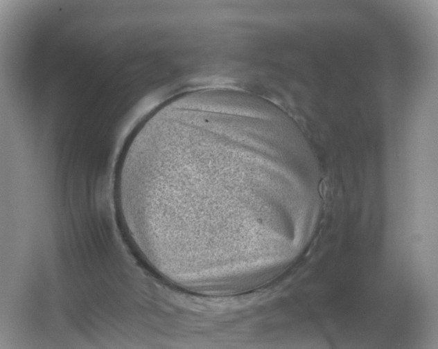 X0000066940006200604071924