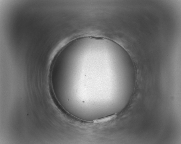 X0000066940007200604071924