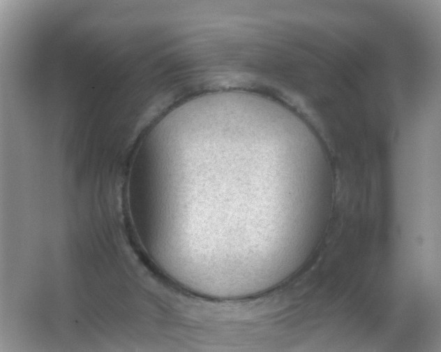 X0000066940010200604071924