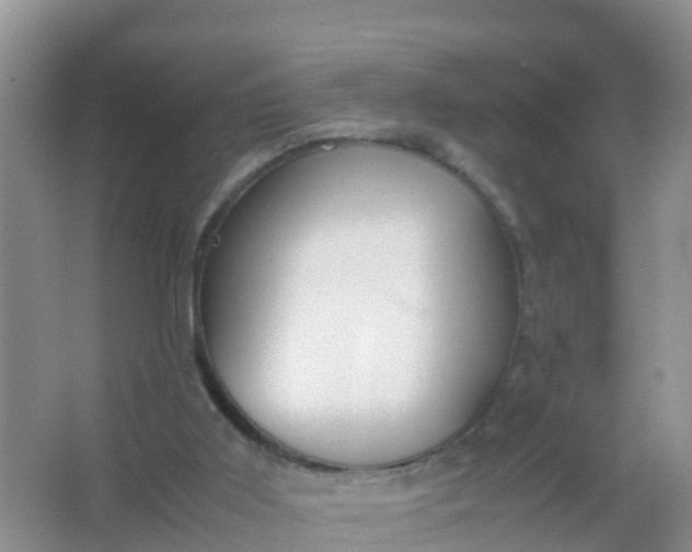 X0000066940011200604071924