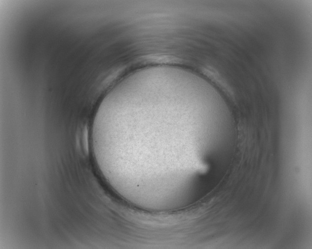 X0000066940014200604071924