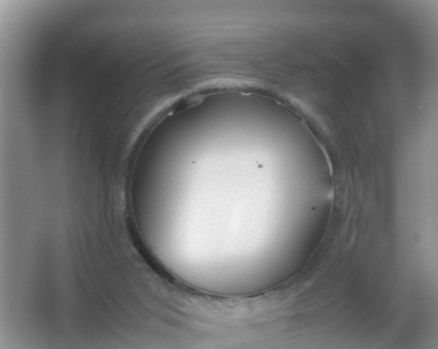 X0000066940015200604071924