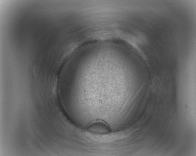 X0000066940018200604071924