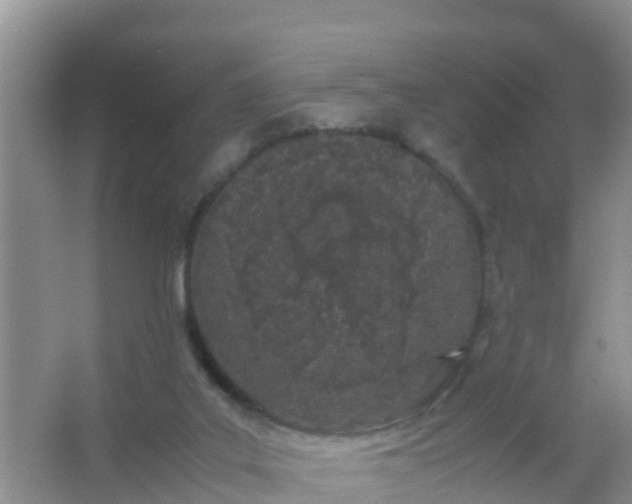 X0000066940019200604071924