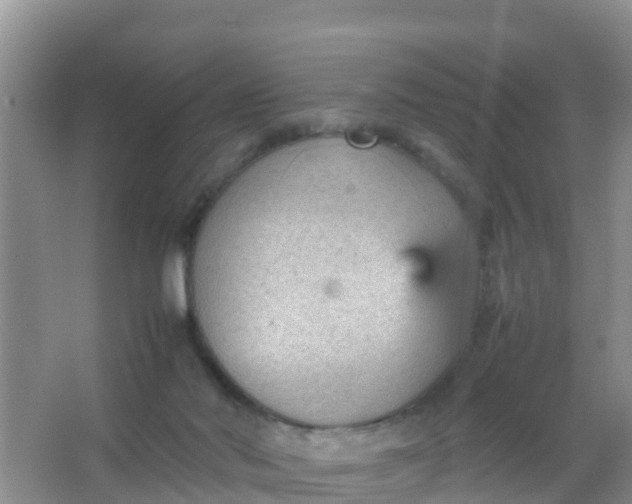 X0000066940022200604071924