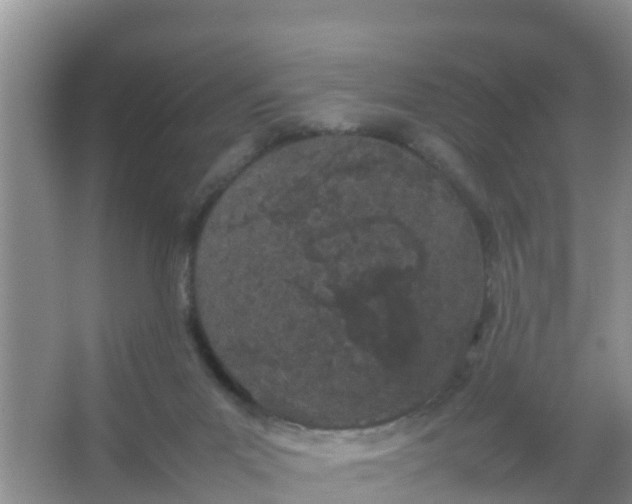 X0000066940023200604071924