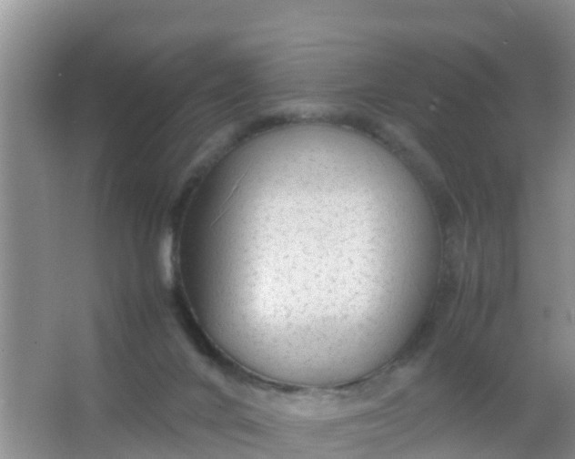 X0000066940024200604071924