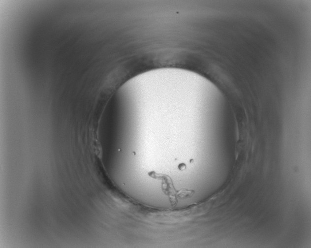 X0000066940025200604071924