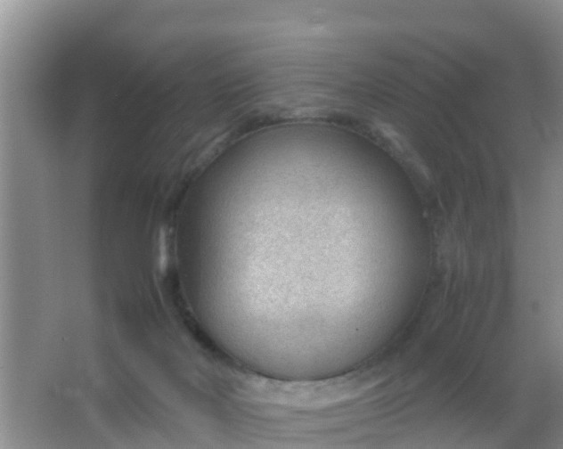 X0000066940026200604071924