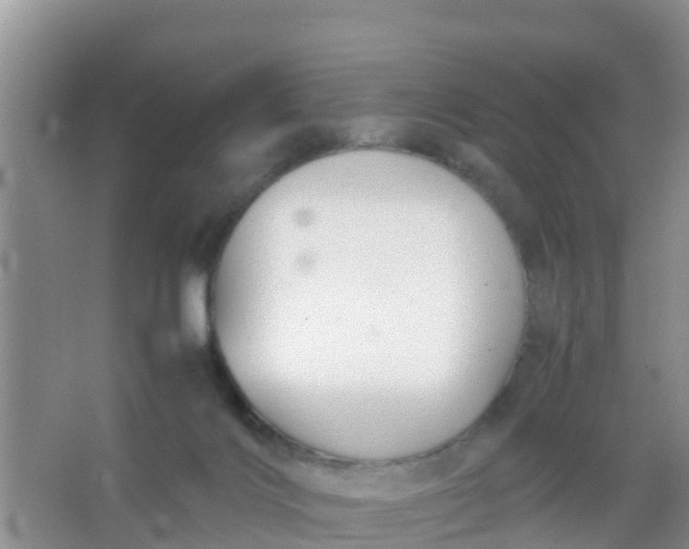 X0000066940028200604071924