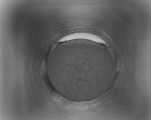 X0000066940029200604071924