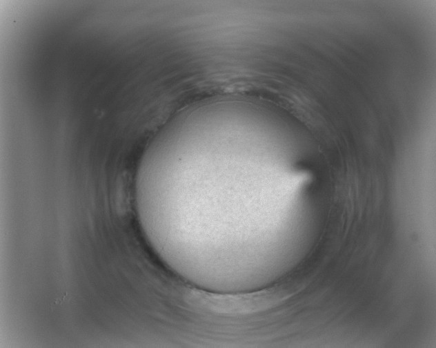 X0000066940030200604071924