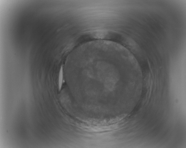 X0000066940031200604071924