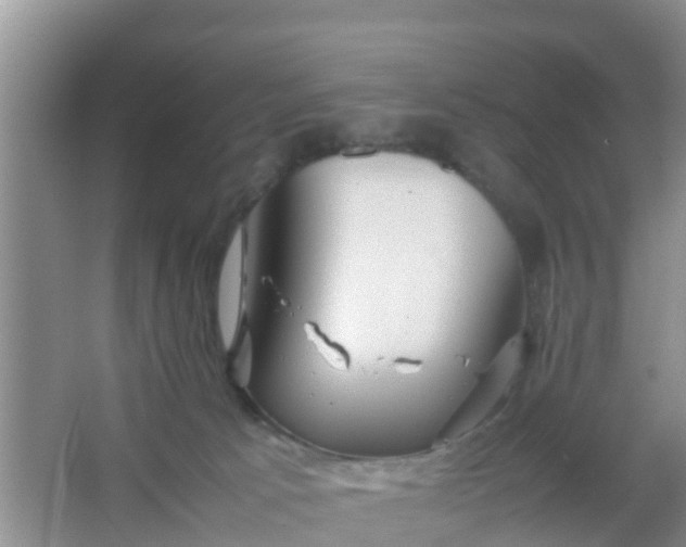 X0000066940033200604071924