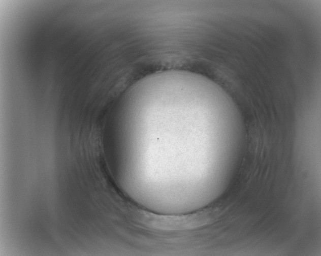 X0000066940034200604071924