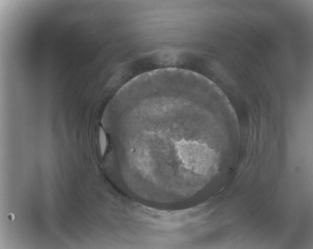 X0000066940035200604071924