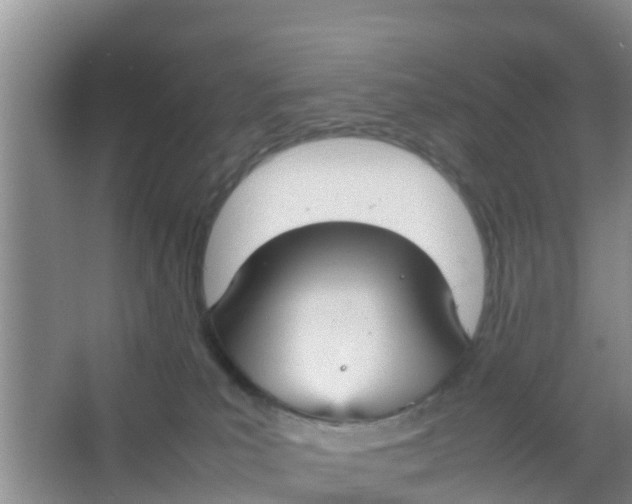 X0000066940039200604071924