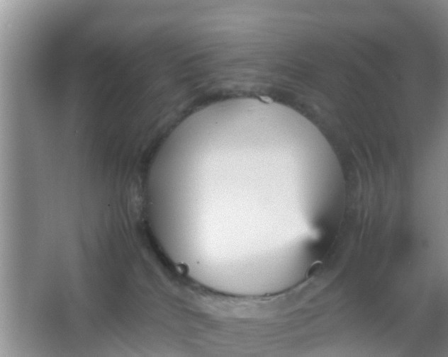 X0000066940040200604071924