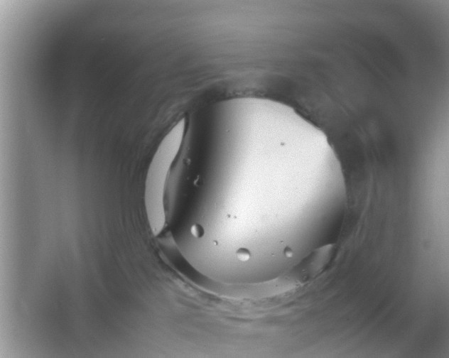 X0000066940041200604071924