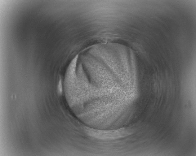 X0000066940042200604071924