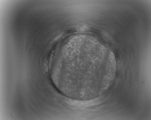 X0000066940043200604071924